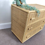 Load image into Gallery viewer, Vintage Bamboo &amp; Rattan Chest of Drawers — Three Deep Drawers
