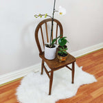 Load image into Gallery viewer, Victorian Plant Stand with with various plants different angle
